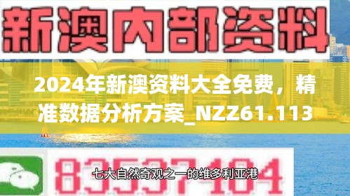 2025新澳精准正版免費資料和2025年正版资料免费的警惕虚假宣传-全面落实与解释释义